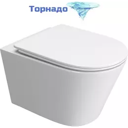 Унитаз подвесной безободковый BelBagno Tre-Tor BB5180CH-TOR/SC (Система смыва торнадо) с крышкой микролифт - фото 