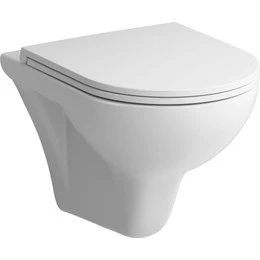 Унитаз подвесной Am.Pm Gem FlashClean C901700SC с сиденьем микролифт - фото 