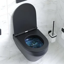 Унитаз подвесной Am.Pm Spirit V2.0 FlashClean C701700MBSC с сиденьем микролифт, черный матовый - фото 