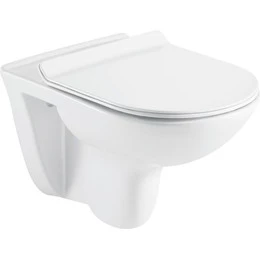 Унитаз подвесной безободковый Azario Pavia 2142 с крышкой микролифт - фото 