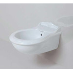 Биде подвесное Azzurra Jubilaeum JUBKS000000MBI*1 - фото 