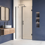 Душевая дверь RGW HO-012B 110 см 350601211-14 (стекло 8 мм), черный/прозрачное - фото 