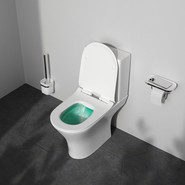 Унитаз-компакт безободковый Am.Pm Sense C748600SC с сиденьем микролифт - фото 4