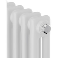 Вертикальный радиатор Royal Thermo Insignia C2180 380x1800 мм (8 секций) - фото 3