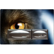 Кнопка смыва Creavit Design GP4009.07, глаз/хром - фото 