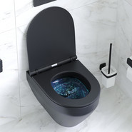 Унитаз подвесной Am.Pm Spirit V2.0 FlashClean C701700MBSC с сиденьем микролифт, черный матовый - фото 