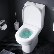 Унитаз-компакт Am.Pm Spirit V2.0 FlashClean C708600WH - фото 3