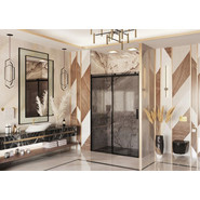 Душевая дверь Ambassador Benefit 160 см 19022205HBB (стекло 8 мм) чёрный/тонированное - фото 2