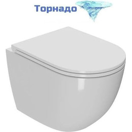 Унитаз подвесной безободковый Sintesi Evi SIN-TS-EVI-152 с крышкой микролифт (система смыва Торнадо) - фото 