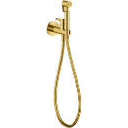 Набор для гигиенического душа Cezares ECO-DIF-BORO (со скрытой частью) брашированное золото - фото 