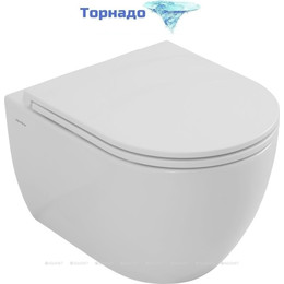 Унитаз подвесной безободковый Allen Brau Priority 4.31009.20 (система смыва Торнадо) с крышкой микролифт - фото 