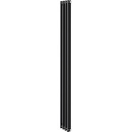 Вертикальный радиатор Royal Thermo Insignia C2180 200x1800 мм (4 секции) чёрный - фото 