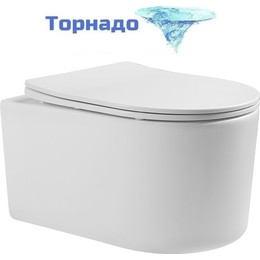 Унитаз подвесной безободковый Aquatek Мия AQ2004T-00 с крышкой микролифт (система смыва Торнадо) - фото 
