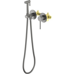 Набор для гигиенического душа Aquatek Европа AQ1319BGM (со скрытой частью) оружейная сталь - фото 