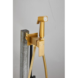 Набор для гигиенического душа Belz B55805-5 (со скрытой частью) золото матовое - фото 