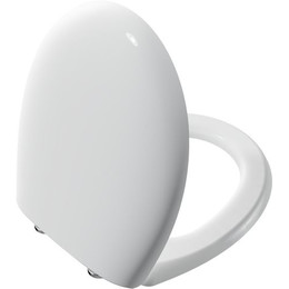 Сиденье с крышкой для унитаза Vitra Memoria микролифт 106-003R009 - фото 