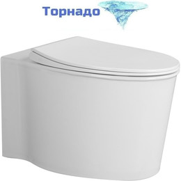 Унитаз подвесной безободковый Abber Bequem AC1127 с крышкой микролифт (система смыва Торнадо и струйный смыв) - фото 