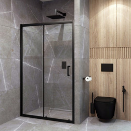 Душевая дверь EvaGold 100 см EG220020, чёрный/прозрачное - фото 