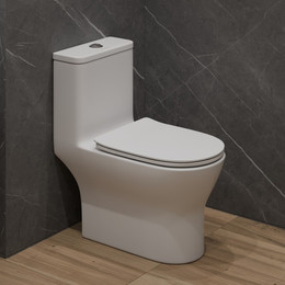 Унитаз-моноблок безободковый EvaGold EG050009 с тонкой крышкой микролифт - фото 