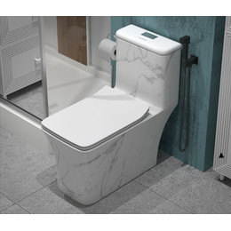 Унитаз-моноблок безободковый EvaGold EG060002 с тонкой крышкой микролифт, белый с декором - фото 