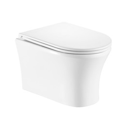 Унитаз подвесной безободковый EvaGold EG070002 с тонкой крышкой микролифт - фото 