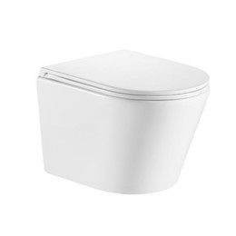 Унитаз подвесной безободковый EvaGold EG070005 с тонкой крышкой микролифт - фото 