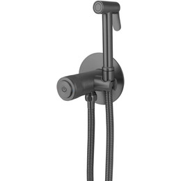 Набор для гигиенического душа Allen Brau Liberty 5.33005-MG (со скрытой частью) графит - фото 