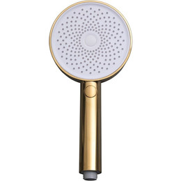 Ручной душ Allen Brau Priority 5.31B20-GB, золото - фото 