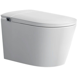 Унитаз-биде подвесной импульсный Abber Bequem AC1121S с крышкой микролифт - фото 
