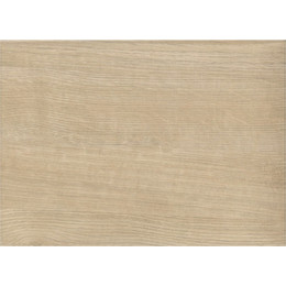 Панель боковая для ванны Ravak CITY 80 см X000001063 L - фото 