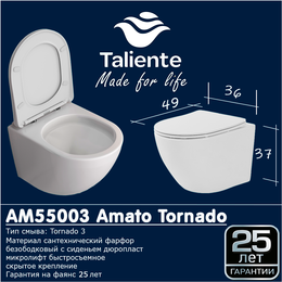 Унитаз подвесной безободковый Taliente Amato Tornado 3 AM55003 с крышкой микролифт (система смыва Торнадо) - фото 