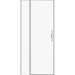 Душевая дверь Allen Brau Priority 100 см 3.31029.BA (стекло 8 мм) серебро браш/прозрачное - фото 