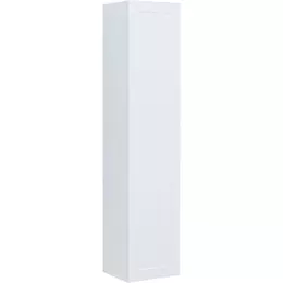 Пенал подвесной Aquanet Терра 35 см 00313236, белый матовый - фото 