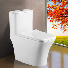 Унитаз-моноблок безободковый Azario Teano AZ-8621 с крышкой микролифт - фото 