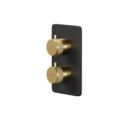 Смеситель для ванны с термостатом Allen Brau Priority 5.31213-31GB (со скрытой частью) чёрный/золото - фото 