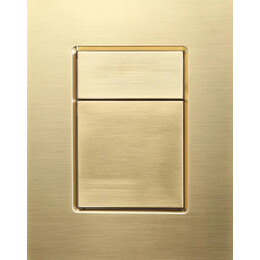 Кнопка смыва Wonzon & Woghand WW-IB256-BG, золото - фото 