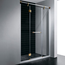 Душевая дверь RGW VI-02 150 см 02040215-18 (стекло 8 мм), белый/золото/прозрачное - фото 