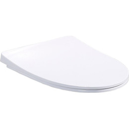 Сиденье с крышкой для унитаза BelBagno Alpha микролифт BB2177SC - фото 