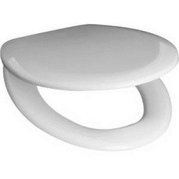 Сиденье с крышкой для унитаза Roca Mateo микролифт ZRU9302822 - фото 