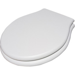 Сиденье с крышкой для унитаза Globo Paestum микролифт, цвет белый дуб PS20RB - фото 