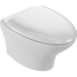 Унитаз подвесной безободковый Jacob Delafon Nouvelle Vague EDJ102-00 - фото 