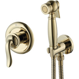 Набор для гигиенического душа Lemark Brava LM4719G, золото - фото 