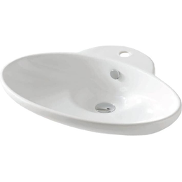 Раковина-чаша ArtCeram Washbasins Fuori 63 см TFL004 01 00 bi*1 - фото 