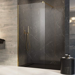 Душевая перегородка Radaway Modo New Gold II 60x200 см 389064-09-01 (стекло 8 мм), золото/прозрачное - фото 