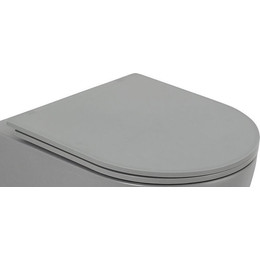 Сиденье с крышкой для унитаза BelBagno Colorato микролифт BB062SC-GR, серый матовый - фото 