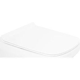 Сиденье с крышкой для унитаза BelBagno Sela микролифт BB3201SC - фото 