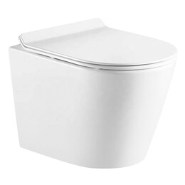 Унитаз подвесной безободковый Azario Fonti AZ-402W с крышкой микролифт - фото 