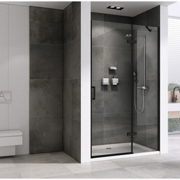 Душевая дверь Abber Zart 120 см AG08120B, черный/прозрачное - фото 