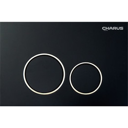 Кнопка смыва Charus Spazio FP.330.DW.01, чёрный свет - фото 