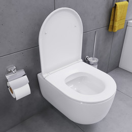 Унитаз подвесной безободковый Damixa Sirius DX86C1700SC с тонкой крышкой микролифт - фото 